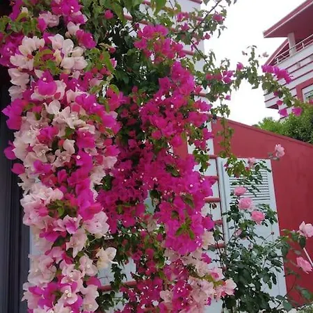 Muestakil, Oezel Havuzlu, Jakuzi Ve Saunali Villa