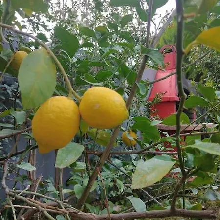 Muestakil, Oezel Havuzlu, Jakuzi Ve Saunali Villa