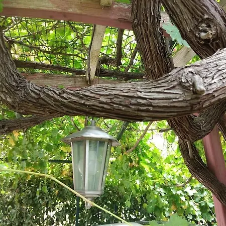 Villa Muestakil, Oezel Havuzlu, Jakuzi Ve Saunali *